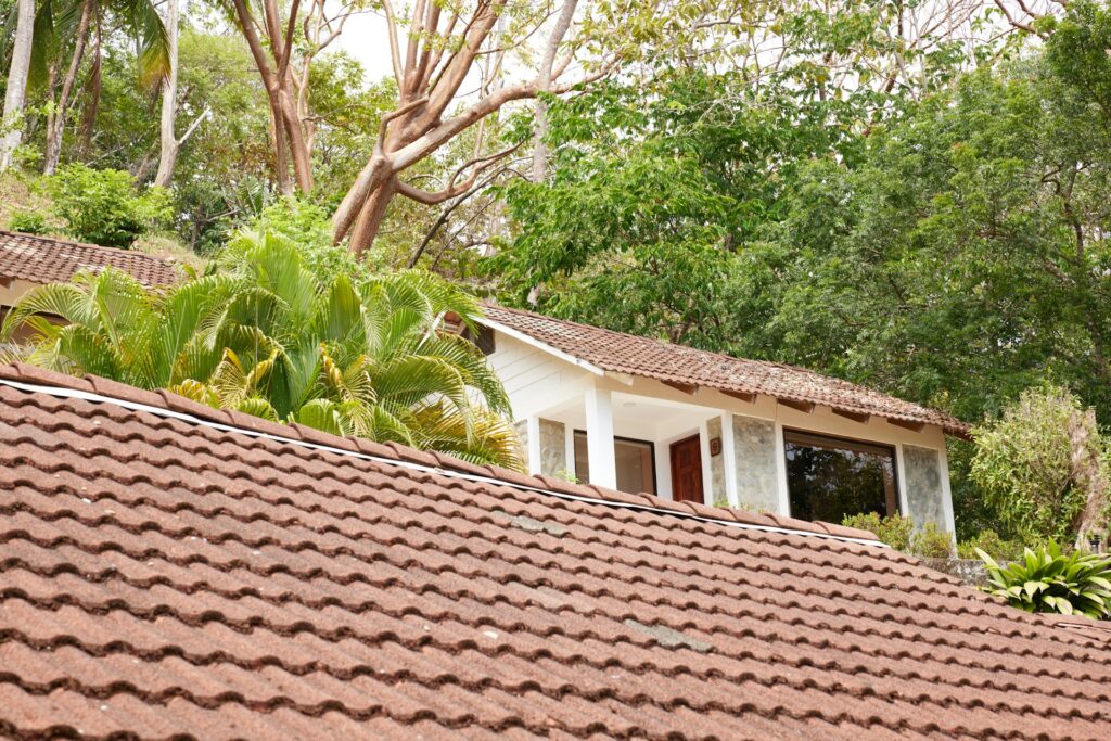 Why Are My Roof Shingles Curling And Buckling